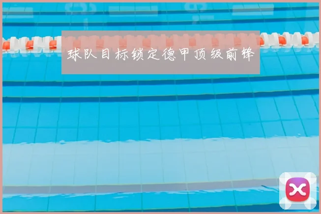 球队目标锁定德甲顶级前锋