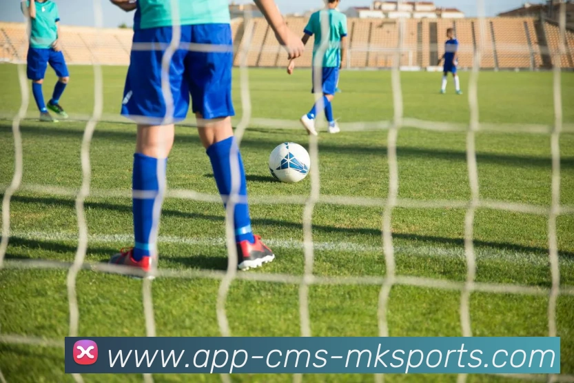 MK体育APP平台生态图