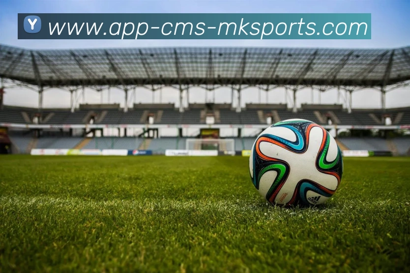 MK体育APPAPP 封面图